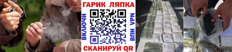 ГАШ Изолятор  Купить где  Гдов 