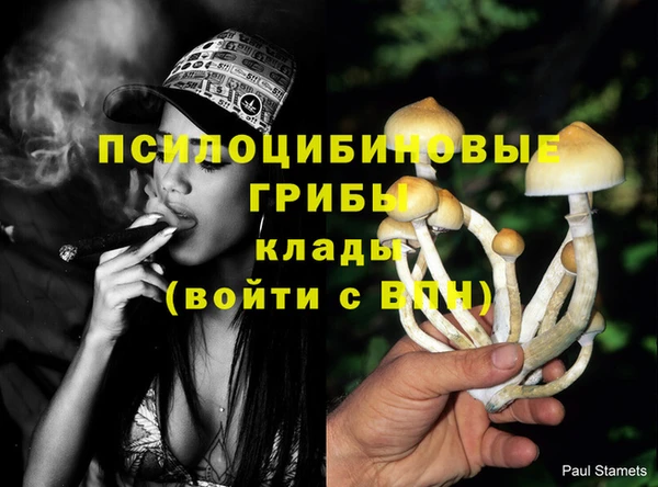 МДМА Каменка