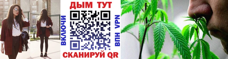 Конопля тримм  Купить закладки  Гдов 